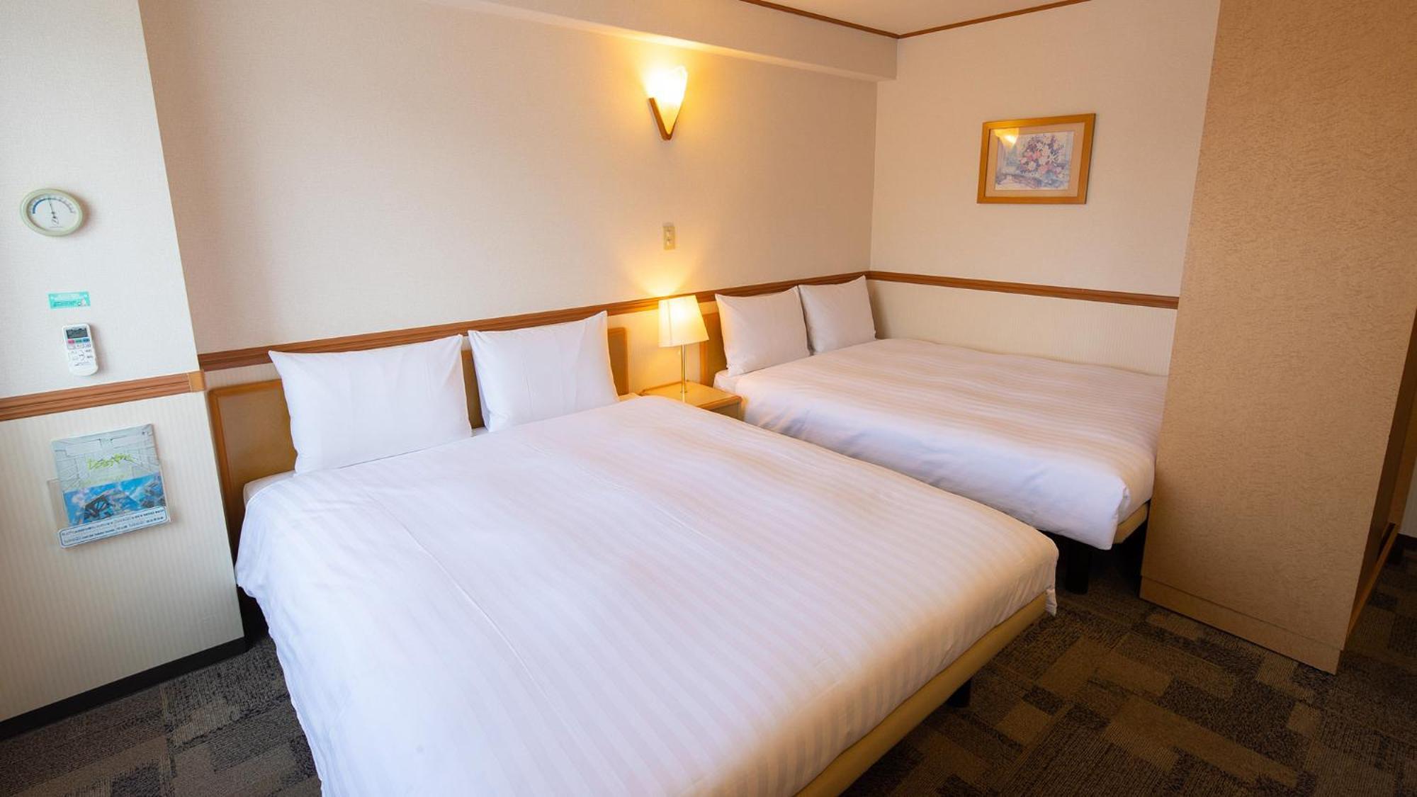 Toyoko Inn Kagoshima Chuo Eki Nishi Guchi Pokoj fotografie